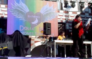 dl-palomos_2013_web_d10940ea167974de7809d1064ba707a1