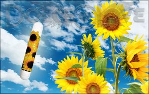 flores_4dc3ad595d1113724c66ac07db079459