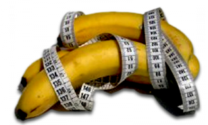 size_matter_not_web_88aca1425f0323f85b296acf2d09e6b9