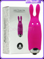 Lastic Pocket Vibe, Adrien Lastic