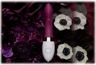 Iris Deep Rose